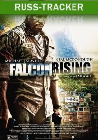 Восхождение Сокола / Falcon Rising (2014) WEB-DLRip